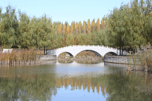 校园景色--小桥流水