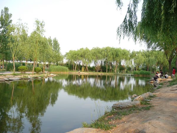廊坊职业技术学校校园湖风景