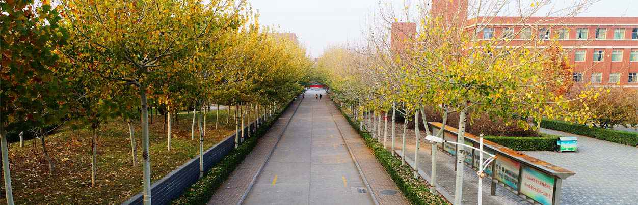 石家庄幼儿师范高等专科学校
