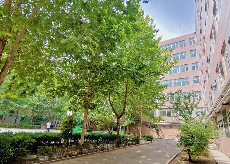 石家庄同济医学中等专业学校校园一角