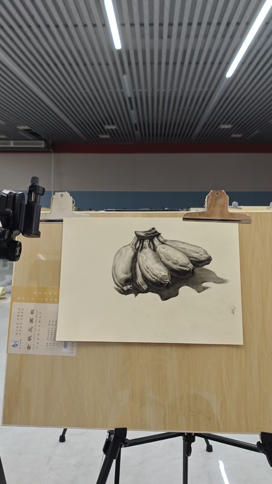 精英单招升学中心八类学生作品
