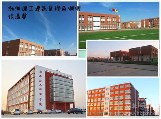 渤海理工职业学院2023年单招考试十类、对口电子电工类、对口计算机类控制线