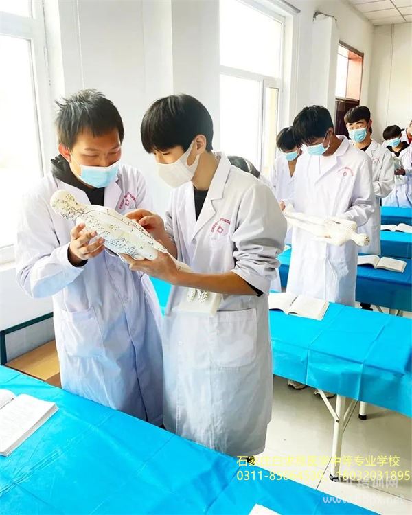 石家庄白求恩医学院中医康复专业认识穴位