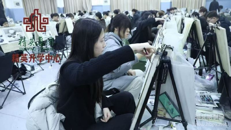 河北单招培训机构推荐：石家庄精英单招靠谱吗？教学、管理、升学多方位解析