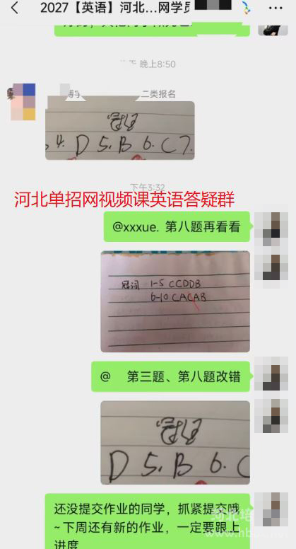 河北单招网英语答疑群截图